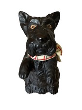 Adorable black scottie for sale  Sterling Heights