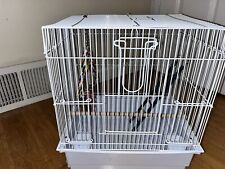 Pet bird starter for sale  Philadelphia