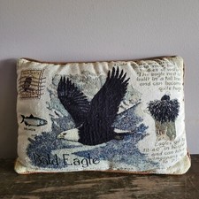 Bald eagle facts for sale  Big Lake