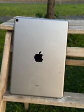 Original apple ipad usato  Zovencedo