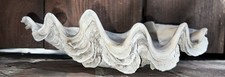 Rare clam shell for sale  Woodland Hills