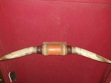Mounted steer bull for sale  West Liberty