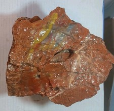 Arizona petrified wood for sale  Scottsdale