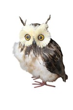 Owl figurine realistic for sale  Slippery Rock