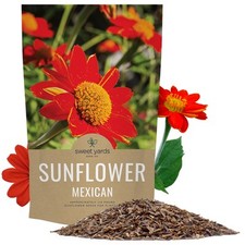 Mexican sunflower seeds for sale  Ithaca