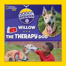 Doggy defenders willow for sale  Montgomery