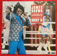 James brown living usato  Italia
