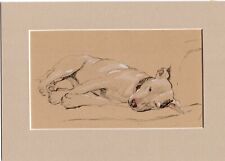Cecil aldin bull for sale  SPALDING