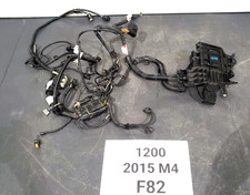 ✅ Chicote de fios para motor 15-20 OEM BMW F87 F80 F82 F83 M2 M3 M4 S55 M55 MT, usado comprar usado  Enviando para Brazil