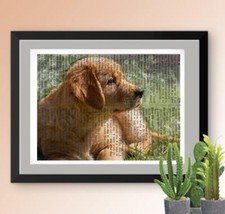Golden retriever puppy for sale  Cleveland