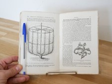 Breuil cours elémentaire d'occasion  Grand-Couronne