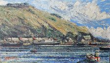 Royston hopson fishguard for sale  BRISTOL