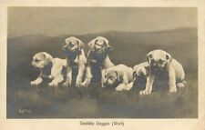 Udb dog rppc for sale  Redding