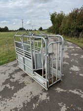 Iae galvanised yearling for sale  MELKSHAM