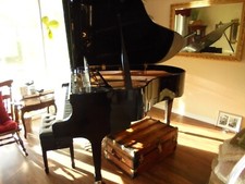 Kawai grand piano. for sale  Dunnellon