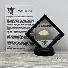 Spinosaurus extinct dinosaur for sale  Davenport