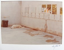 Luigi ghirri portfolio usato  Casteggio