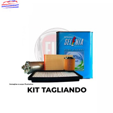 Kit tagliando selenia usato  San Giorgio Morgeto