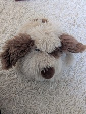 Cute soft dog for sale  NORWICH