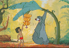 Walt disney mowgli usato  Roma