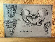 Dessin ancien étude d'occasion  Plombières-lès-Dijon