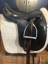 dominus saddle for sale dominus saddle for sale Troy
