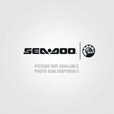 2020-2024 SEADOO 300 RXT RXP GTX CYLINDER HEAD 420413259 na sprzedaż  Wysyłka do Poland