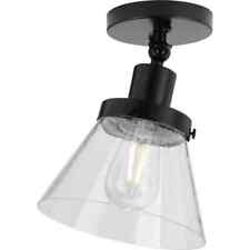 Progress lighting hinton for sale  Nixa