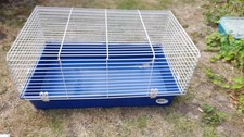 Feraplast guinea pig for sale  LONDON