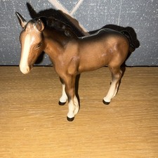 Bestwick shire foal for sale  LANCING