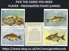 Player freshwater fishes for sale  TAMWORTH