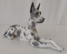 Ladro great dane for sale  WALTON-ON-THAMES