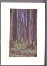 1901 peter behrens gebraucht kaufen  Neuburg am Inn