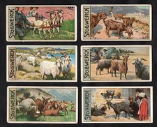 Animals man ser for sale  BRIDPORT