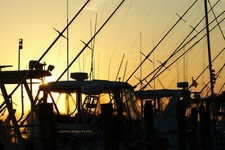 Sunsetthrough rigs fishing for sale  Jerome