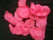 100 pezzi fuxia usato  San Vito dei Normanni