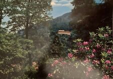 Cartolina vallombrosa reggello usato  Treviso Bresciano