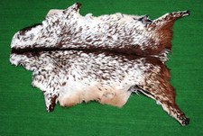 New goat hide for sale  Crofton