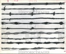 1972 Press Photo arame farpado em muitas formas e desenhos, um hobby para muitos texanos comprar usado  Enviando para Brazil