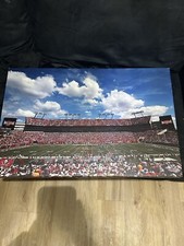Tampa bay buccaneers for sale  Tallahassee