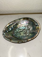 Abalone shell smudging for sale  Visalia