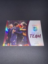 Panini eterntiy team for sale  DEAL