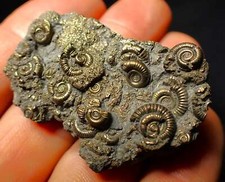 Full pyrite multi for sale  BRISTOL
