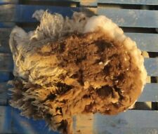 Whole lambs fleece for sale  KIRKWALL