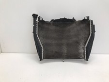 Radiatore acqua bmw usato  Rozzano