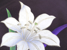 Ayane lilie flower for sale  HATFIELD