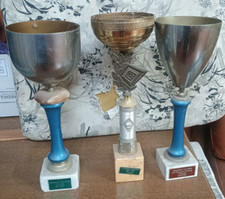 Coppe trofeo vintage usato  Montespertoli