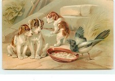gamelle chiens d'occasion gamelle chiens d'occasion Expédié en Belgium
