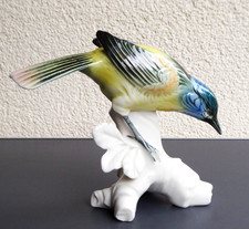Schön ens vogel gebraucht kaufen  Monheim
