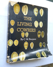 The living cowries usato  Cremona